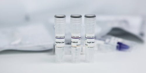 Kit de synthèse rapide du premier brin d’ADNc