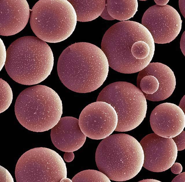 Lab Consumables and Raw Materials DNA Testing Experts