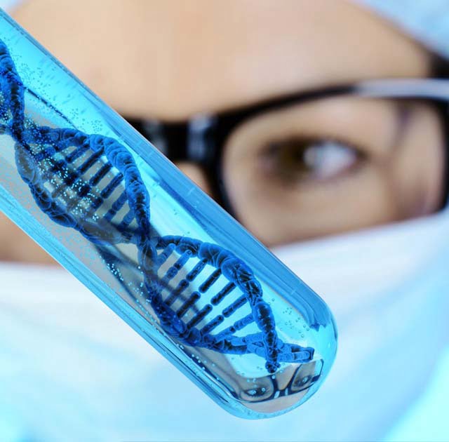 DNA and RNA purification Kits DNA Testing Experts