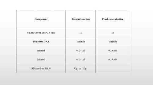 SYBR Green 2xqPCR-Mix