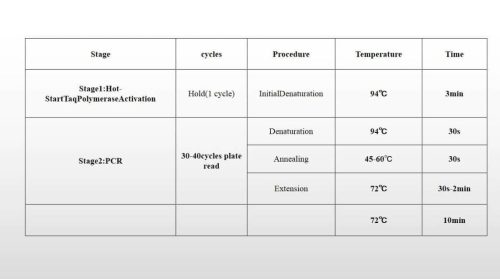 SYBR Green 2xqPCR-Mix