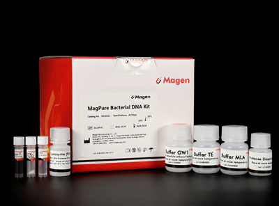 MagPure Bakterien-DNA-Kit