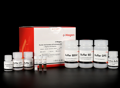 Kit DNA magpure ffpe