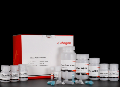 HiPure Paxigene Blood RNA Kit