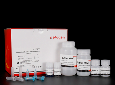 HiPure Viral RNA Kit R4171