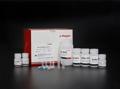 Elsternplasmid EF Mini Kit