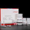 HiPure Blood DNA Mini Kit