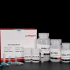 HiPure Plasmid Mini Kit