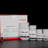 MagPure Blood DNA Kit