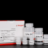 MagPure Universal DNA Kit IVD3102