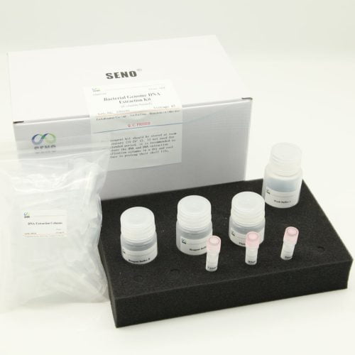 ชุดสกัด DNA ของแบคทีเรียจีโนม - ภาพ 2