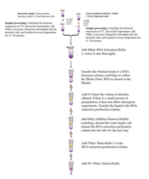 RNA รวมของแบคทีเรีย (บวก) ชุดสกัด - ผู้เชี่ยวชาญด้านการตรวจดีเอ็นเอ