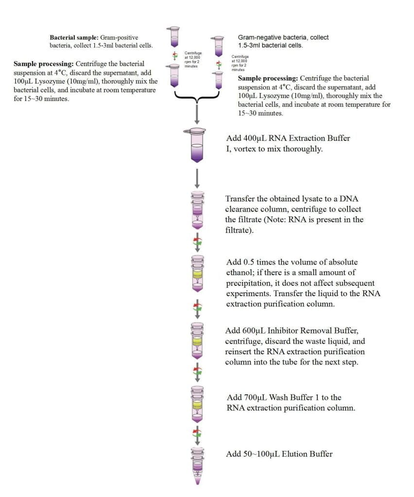 RNA รวมของแบคทีเรีย (บวก) ชุดสกัด - ผู้เชี่ยวชาญด้านการตรวจดีเอ็นเอ