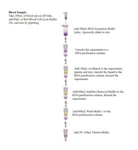 Blut-Gesamt-RNA-Extraktionskit (Entfernung genomischer DNA)