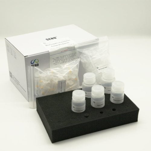 Blut-Gesamt-RNA-Extraktionskit (Entfernung genomischer DNA) – Bild 4
