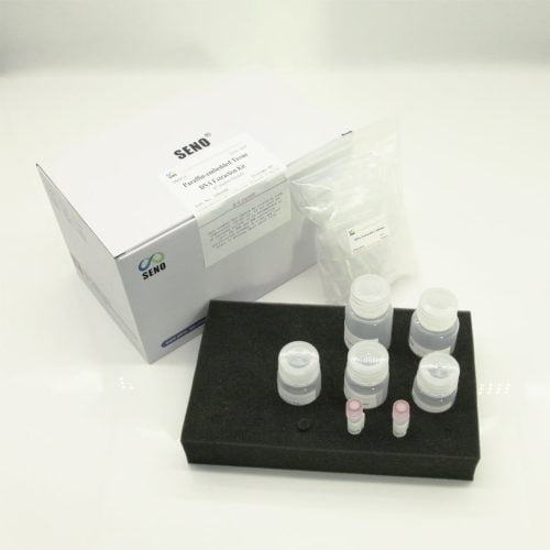 DNA-Extraktionskit mit Paraffin-eingebettetem Gewebe – Bild 3