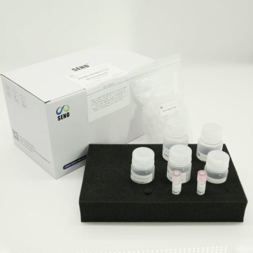 DNA-Extraktionskit mit Paraffin-eingebettetem Gewebe – Bild 4