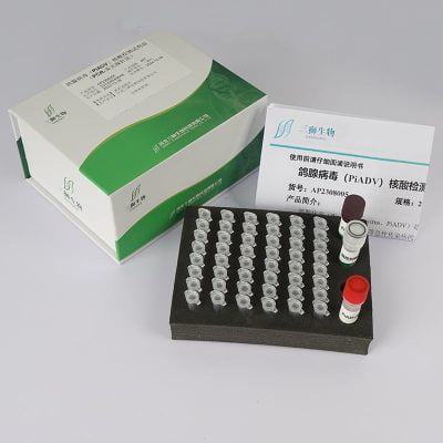 Adénovirus du pigeon (PiADV) Kit de détection d'acide nucléique
