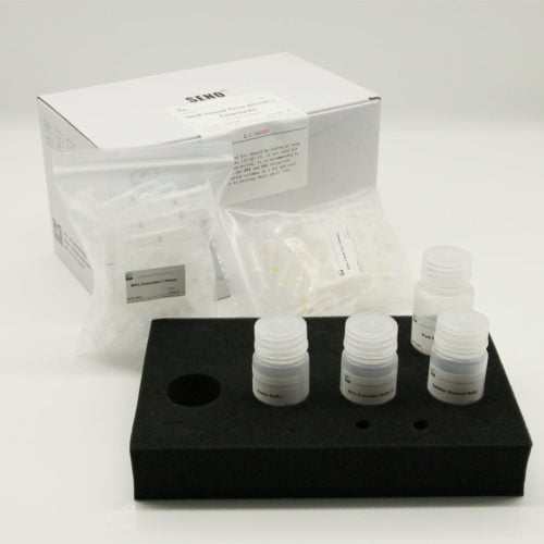 Small Amount Tissue microRNA Extraction kit – Bild 3