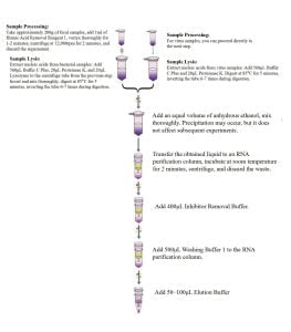 Stuhl Total RNA Extraction Kit