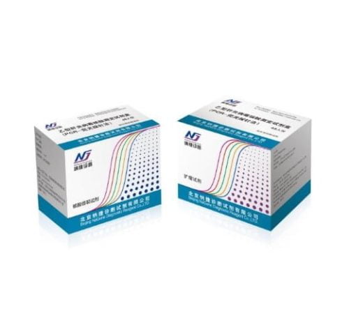 Hepatitis B Virus Nucleic Acid Assay Kit (Metode Pemeriksaan Fluoresen PCR)