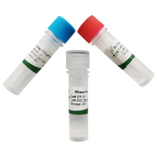 Kit RT-qPCR Sanshibio en une étape (Sonde) - Image 4