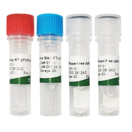 Kit RT-qPCR en une étape (Sonde)