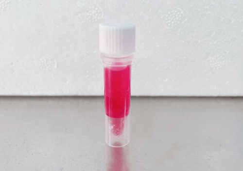 Mezcla maestra de PCR de alta calidad Solarbio con tinte rojo 1 ml - Imagen 2