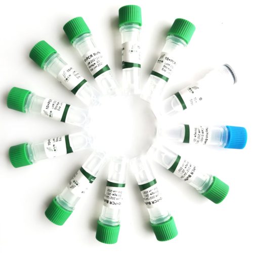Sanshibio Taq Hot-Start DNA-Polymerase – Bild 3