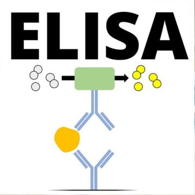 ELISA