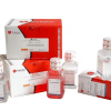 Malondialdehyde (MDA) Komplet za ispitivanje sadržaja