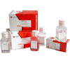 1M Tris-HCL (pH 6.8)
