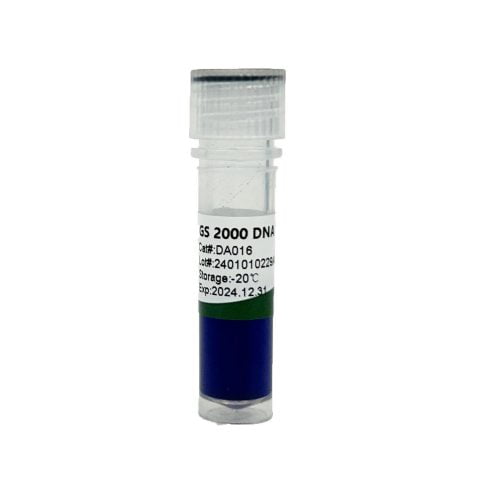 GS 2000 DNA ladder