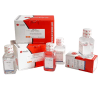 β-galactosidase (β-GAL) Assay Kit