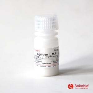 Agarose Solarbio (Gel à faible point de fusion)
