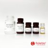 Malondialdéhyde (MDA) Kit d'analyse de contenu