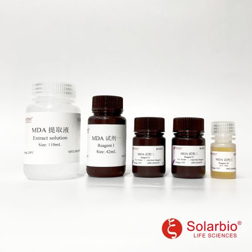 Malondialdéhyde (MDA) Kit d'analyse de contenu